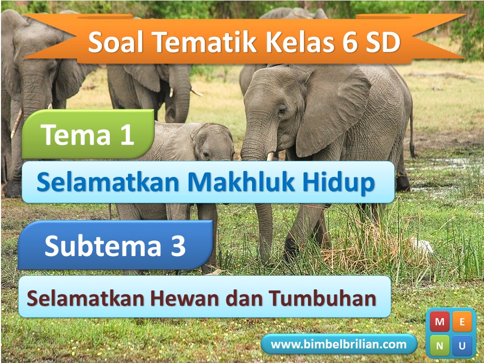 Slide Power Point Tema 1 Kelas 6 SD Subtema 3