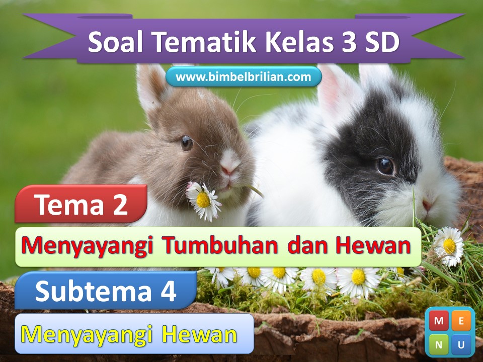 Media power point Tema 2 Kelas 3 SD Subtema 4 Menyayangi Hewan
