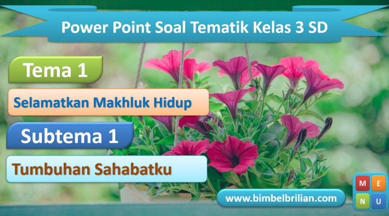 Power Point Ppt Soal Tema 1 Kelas 6 Sd Subtema 1 Tumbuhan Sahabatku Bimbel Brilian