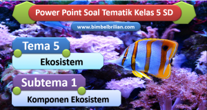 Media PPT Soal Tema 4 Kelas 5 SD Subtema 3 Cara Memelihara Organ Peredaran Darah