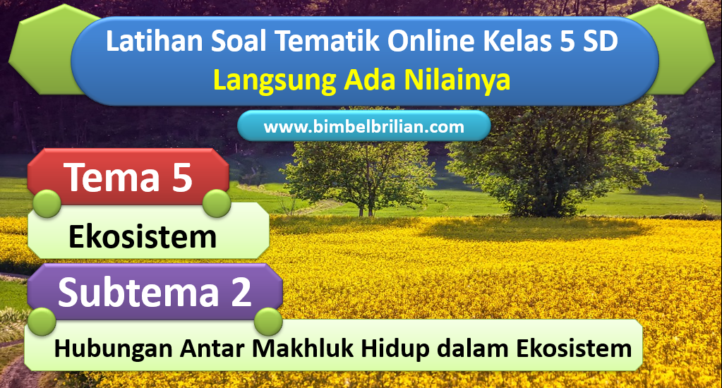 Soal Online Tema 5 Kelas 5 SD Subtema 2
