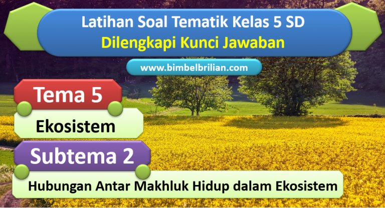 Download Soal Matematika Kelas 5 SD Bab 1 Bilangan Bulat dan Kunci ...