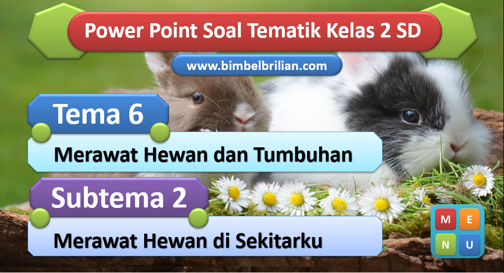 PPT Soal Tema 6 Kelas 2 SD Subtema 2 Merawat Hewan di Sekitarku
