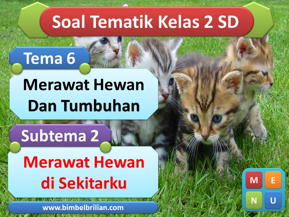 PPT Soal Tema 6 Kelas 2 SD Subtema 2 Merawat Hewan di Sekitarku
