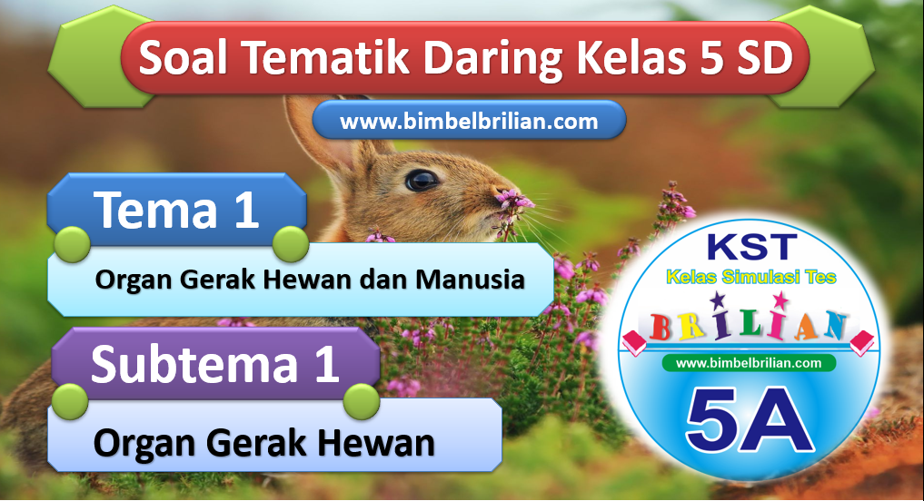 Soal Daring Tema 1 Kelas 3 SD Subtema 1 Organ gerak hewan
