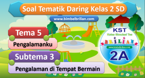 Soal Daring Tema 5 Kelas 2 SD Subtema 3