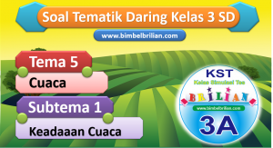 Soal Daring Tema 5 Kelas 3 SD Subtema 1 Keadaan Cuaca