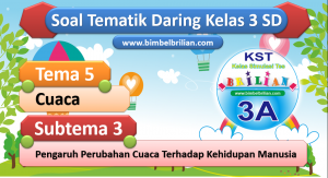 Soal Daring Tema 5 Kelas 3 SD Subtema 3
