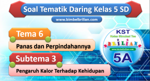 Soal Daring Tema 6 Kelas 5 SD Subtema 3 Pengaruh Kalor Terhadap Kehidupan