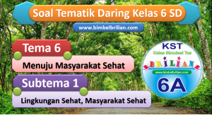Soal Daring Tema 6 Kelas 6 SD Subtema 1 Lingkungan Sehat Masyarakat Sehat