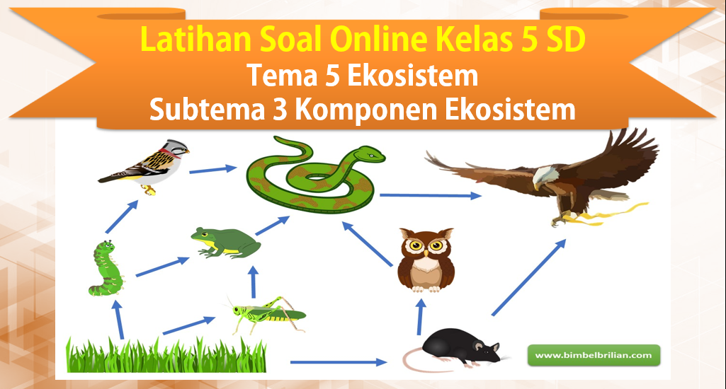 Soal Online Tema 5 Kelas 5 SD Subtema 3 Keseimbangan Ekosistem dan Kunci Jawaban