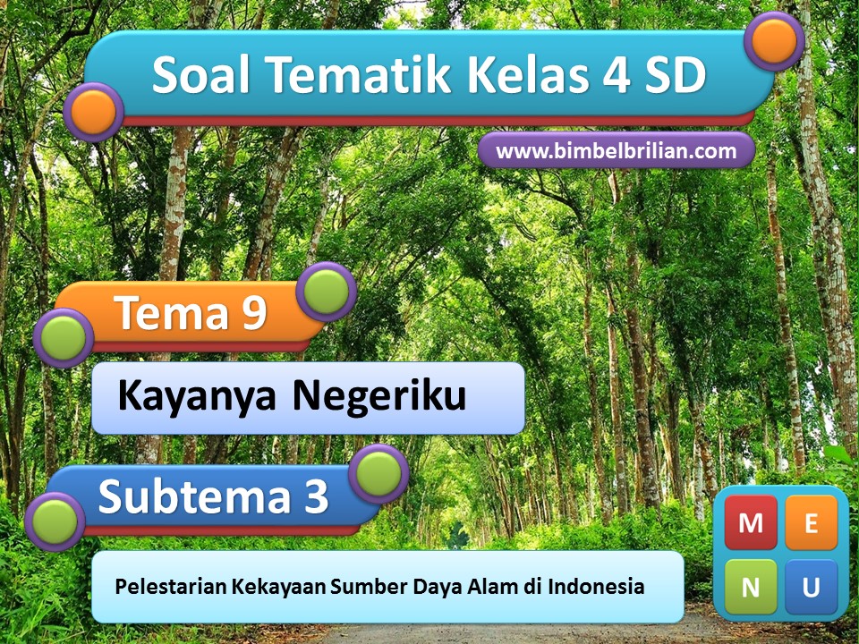 PPT Soal Tema 9 Kelas 4 Subtema 3 Pelestarian Kekayaan Sumber Daya Alam di Indonesia