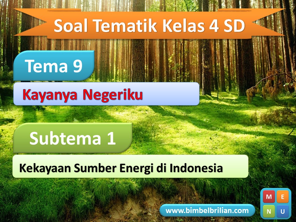 PPT Soal Tema 9 Kelas 4 Subtema 1 Kekayaan Sumber Energi di Indonesia