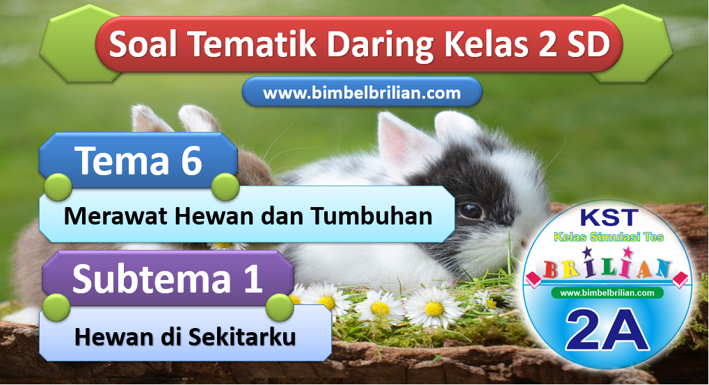 Soal Daring Tema 6 Kelas 2 SD Subtema 1 Hewan di Sekitarku