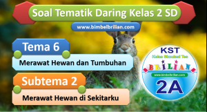 Soal Daring Tema 6 Kelas 2 SD Subtema 2 Merawat Hewan