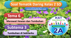 Soal Daring Tema 6 Kelas 2 SD Subtema 3 Tumbuhan di Sekitarku