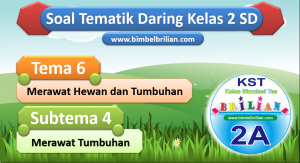 Soal Daring Tema 6 Kelas 2 SD Subtema 4 Merawat Tumbuhan