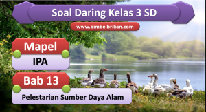 Soal IPA Daring Kelas 3 SD Bab 13 Pelestarian Sumber Daya Alam