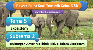 Power Point Tema 5 Kelas 5 SD Subtema 2 Hubungan Antar Makhluk Hidup dalam Ekosistem