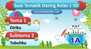 Soal Daring Kelas 1 Tema 1 Subtema 2 Tubuhku