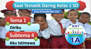 Soal Daring Kelas 1 Tema 1 Subtema 4 Aku Istimewa
