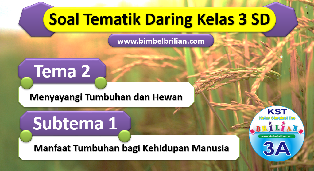 Soal Daring Kelas 3 Tema 2 SD Subtema 1 Manfaat Tumbuhan Bagi Kehidupan Manusia