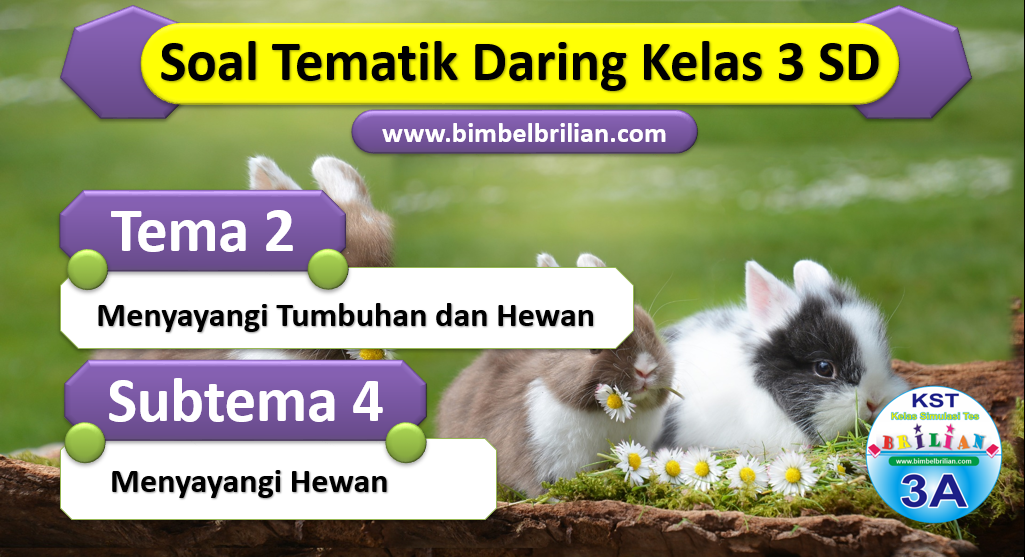 Soal Daring Kelas 3 Tema 2 SD Subtema 4 Menyayangi Hewan