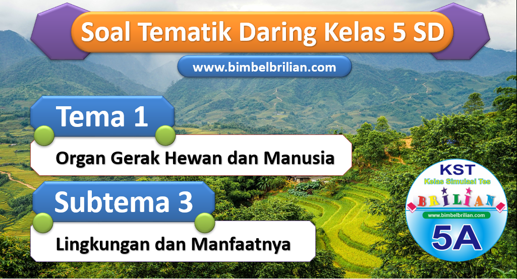 Soal Daring Kelas 5 SD Tema 1 Subtema 3 Lingkungan dan Manfaatnya