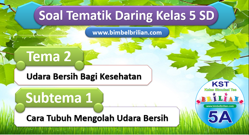 Soal Daring Kelas 5 SD Tema 2 Subtema 1 Cara Tubuh Mengolah Udara Bersih
