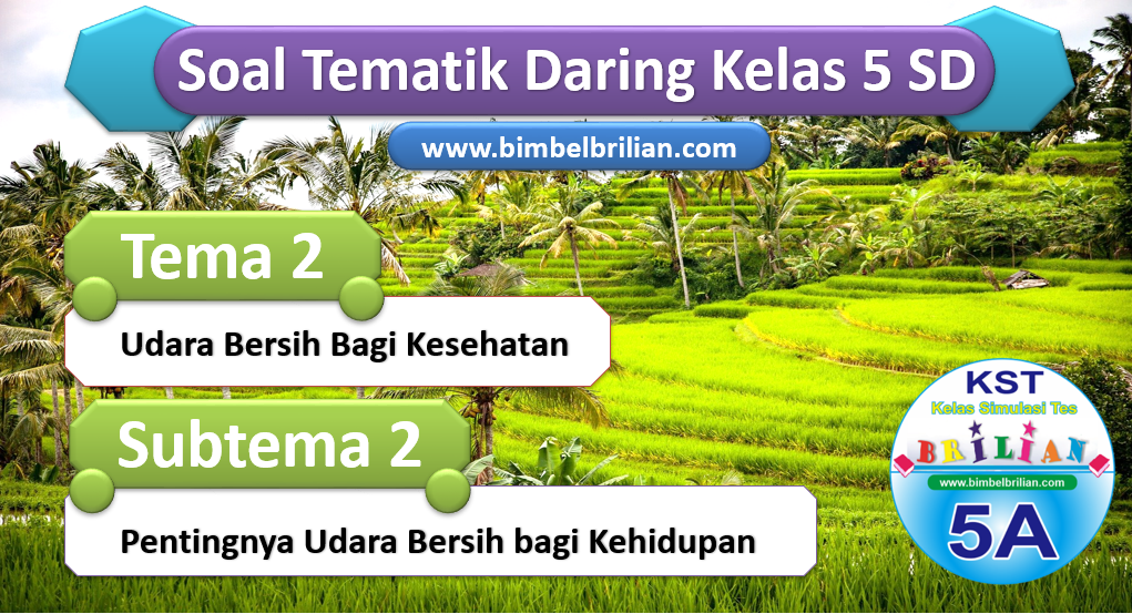 Soal Daring Kelas 5 SD Tema 2 Subtema 2 Pentingnya Udara Bersih Bagi Kehidupan