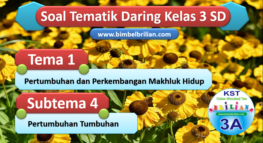Soal Daring Tema 1 Kelas 3 SD Subtema 4 Pertumbuhan Tumbuhan