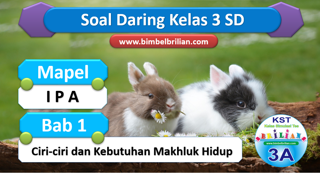 Soal IPA Daring Kelas 3 SD Bab 1 Ciri-Ciri dan Kebutuhan Makhluk Hidup
